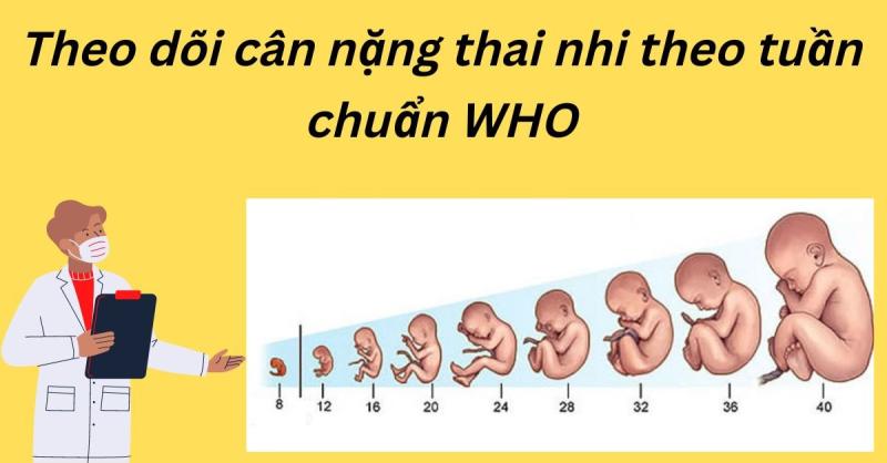 Làm sao để biết cân nặng thai nhi theo tuần?